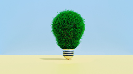 img-1-icon